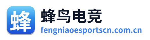 蜂鸟电竞